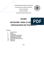 Silabo_RotacionTelesalud2019-2020 (1)
