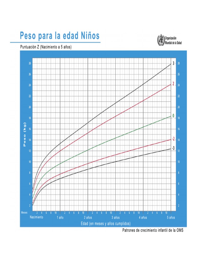 Los Patrones intelligence overview