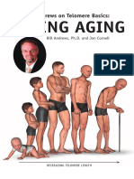 Curing-Aging.pdf