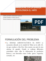 Formulación de Un Plan de Acción Ambiental en Hato