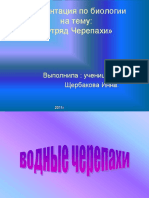 Черепахи