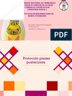 Protocolo Piezas Poteriores