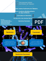 Genómica funcional: estudio dinámico de genes y sus funciones