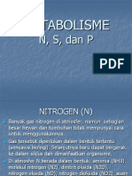 Metabolisme N, S Dan P