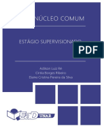 Passo a Passo - Estágio Supervisionado Ped.pdf