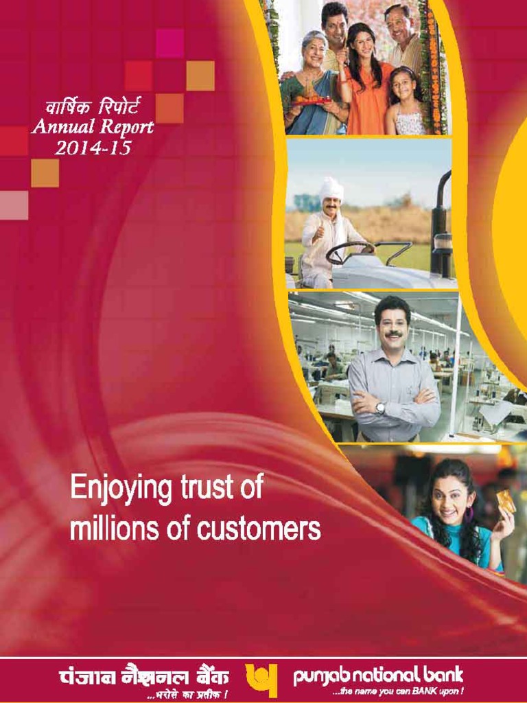 Punjab National Bank AGM 2015 Report | PDF | Financial Statement