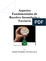 Aspectos_Fundamentales_de_Recobro_Secund.pdf