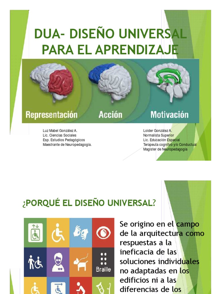 DUA | PDF | Plan de estudios | Cerebro