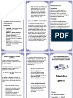 Estadistica Triptico