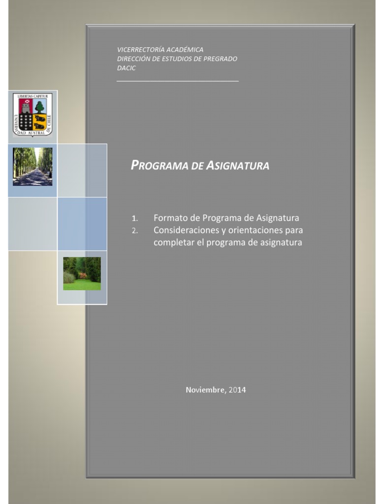 Formato Programa Asignatura Uach PDF | PDF | Plan de estudios | Aprendizaje