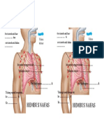 Gambar Rajah Hembus Nafas