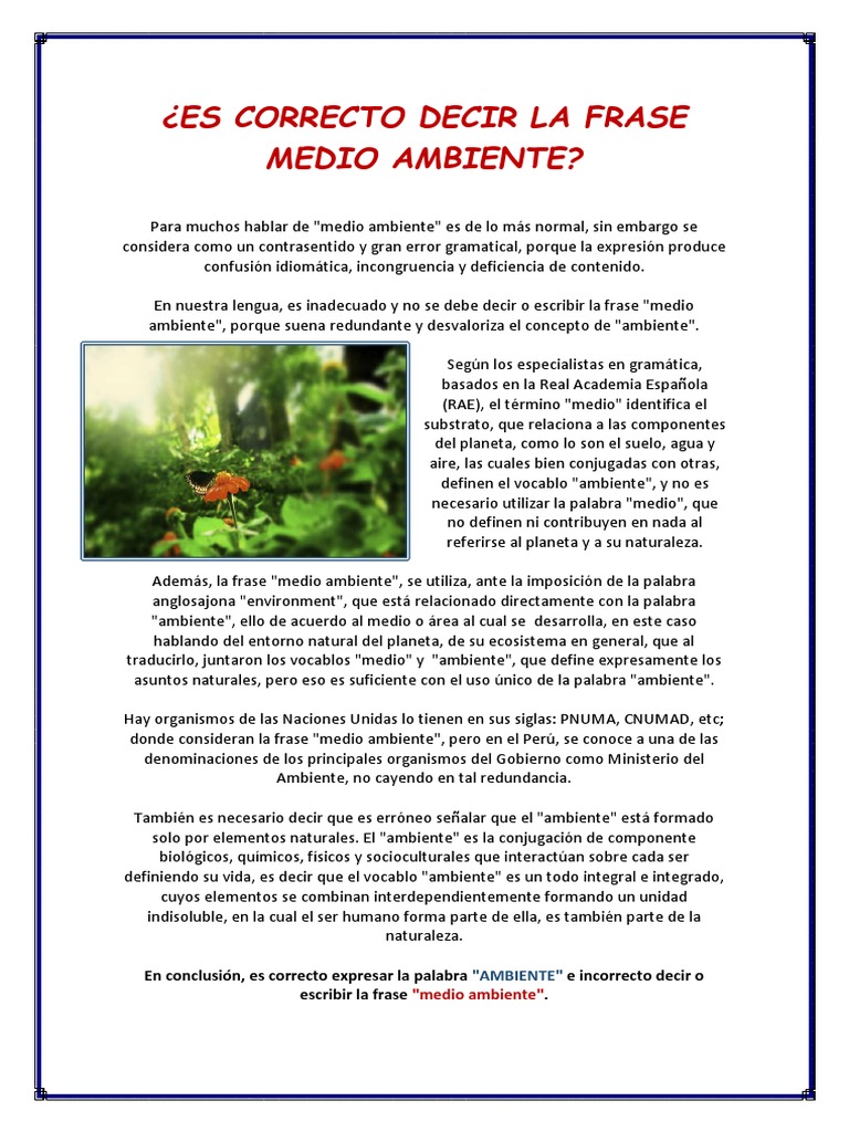 Correcta Escritura y Pronunciación Del Ambiente | PDF | Entorno natural ...