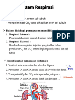 RespiratorySystemStructure