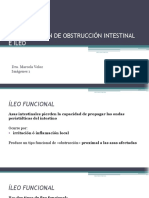 Clase 3 Identificación de Obstrucción Intestinal e Ileo