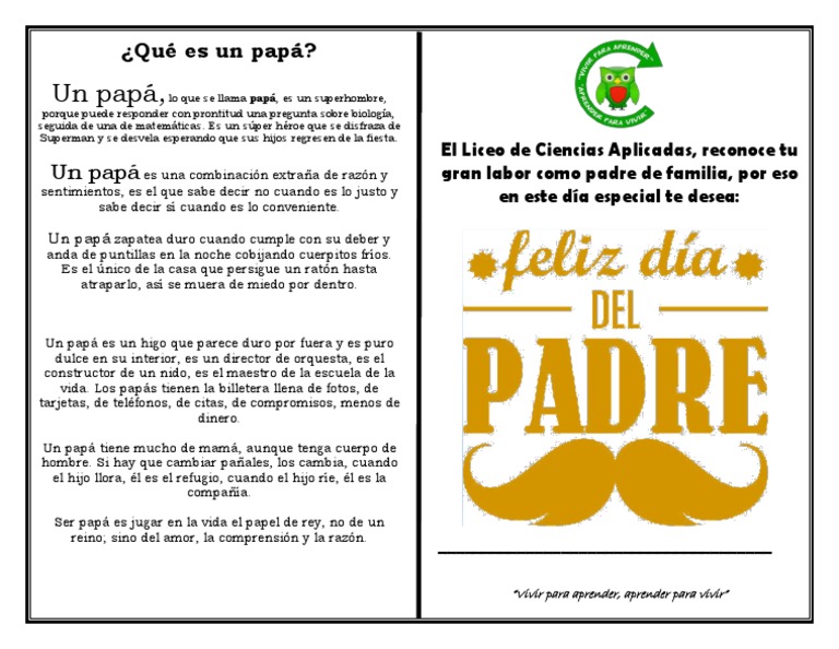 Qué Es Un Papá | PDF