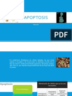 Apoptosis PDF
