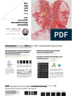 Multiphotonsegmentation2bvasculature 190808162232