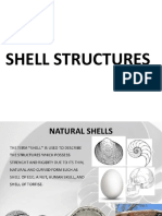Shell Roofs