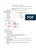 THE-ENDOCRINE-SYSTEM-INTRO.docx