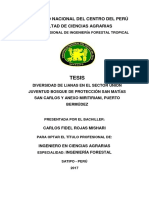 Diversidad de lianas en Satipo.pdf