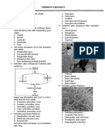 Formatif Biologi II Kelas X Paku Dan Spermatophyta