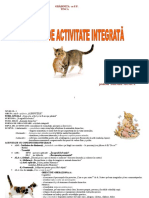 dpm dlc pisica.pdf