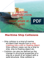Maritime Ship Collision &: Dead Whale at City Port