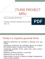 Structura Proiect MRU