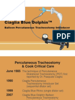 Blue Dolphin PowerPoint