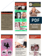 Leaflet Penyuluhan Pre Eklampsia PDF