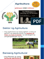 Sektor NG Agrikultura