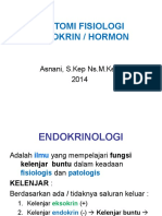 ANFIS ENDOKRIN D4 As 2014
