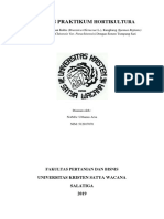 Laporan Dan Pengamatan Hortikultura Nama Urbanus Arsa 512017070