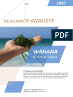 Investment Analysis WAPO