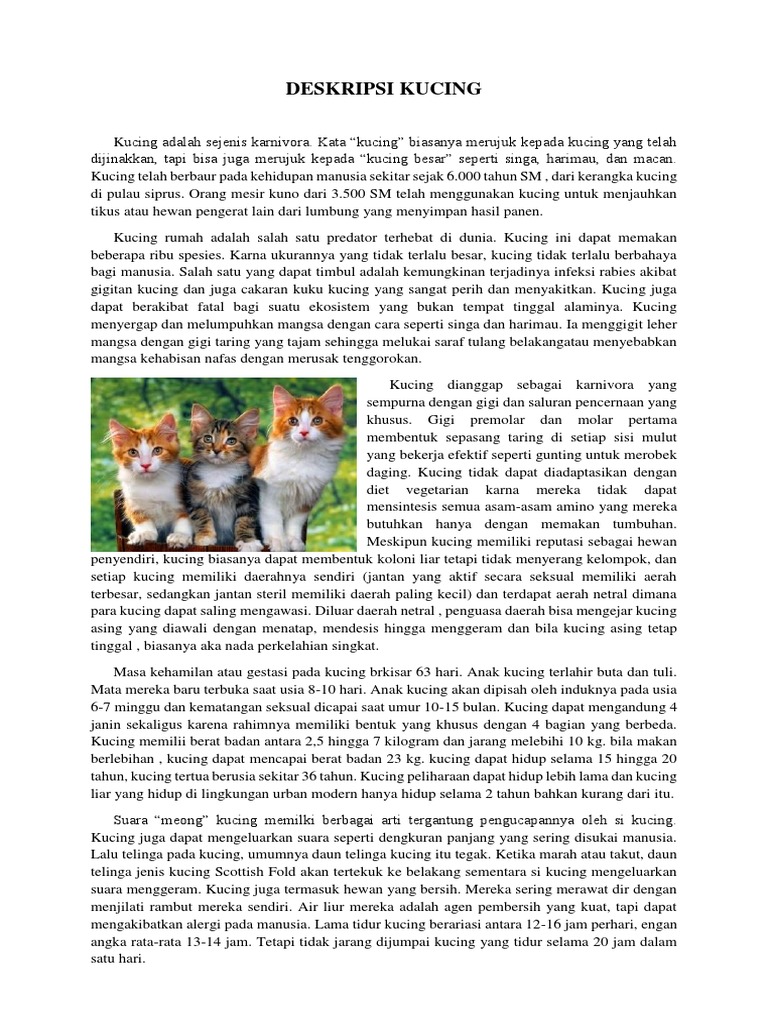 Deskripsi Lengkap tentang Kucing | PDF