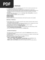 Sap System Profiles