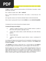 Il sistema circolatorio è costituito dal cuore e da un insieme di vasi