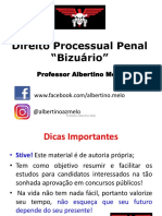 BIZUARIO CPP.pdf