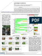 Lopez-Cepero Piedra Buena Phytoma 2013 PDF