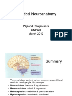Practical Neuroanatomy - Handout PDF