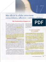 Capitulo 17 Más Allá de La Célula Estructuras Extracelulares Adhesion y Uniones Celulares