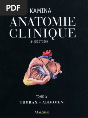 Kamina Tome 3 Thorax Abdomen Pdf Thorax Cou