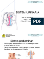Sistem_urinaria.ppt.ppt