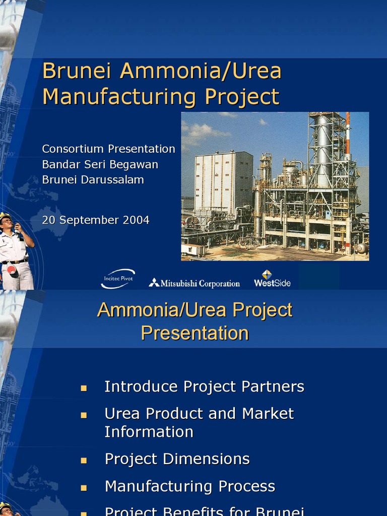 Urea Manufacturing Project PDF Urea Natural Gas