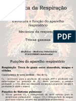 Aula 10 Biofisica Da Respiracao Vet 2019