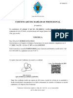 Certificado de Habilidad 09