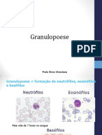 Granulopoese 2019.2 PDF