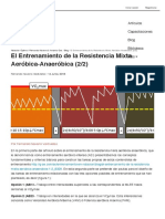 El Entrenamiento de La Resistencia Mixta Aeróbica-Anaeróbica (22) - Natación Óptima Fernando Navarro - G-SE