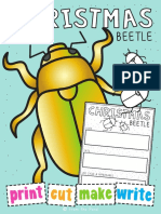 ART Christmas Beetle