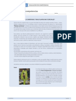 Plantas Carnivoras - Eval. por competencias.pdf